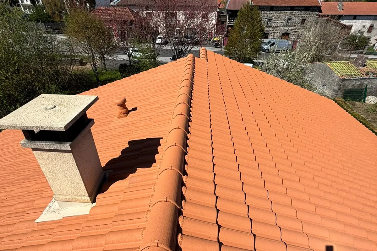 Toiture en tuiles traitée, vue sur le quartier